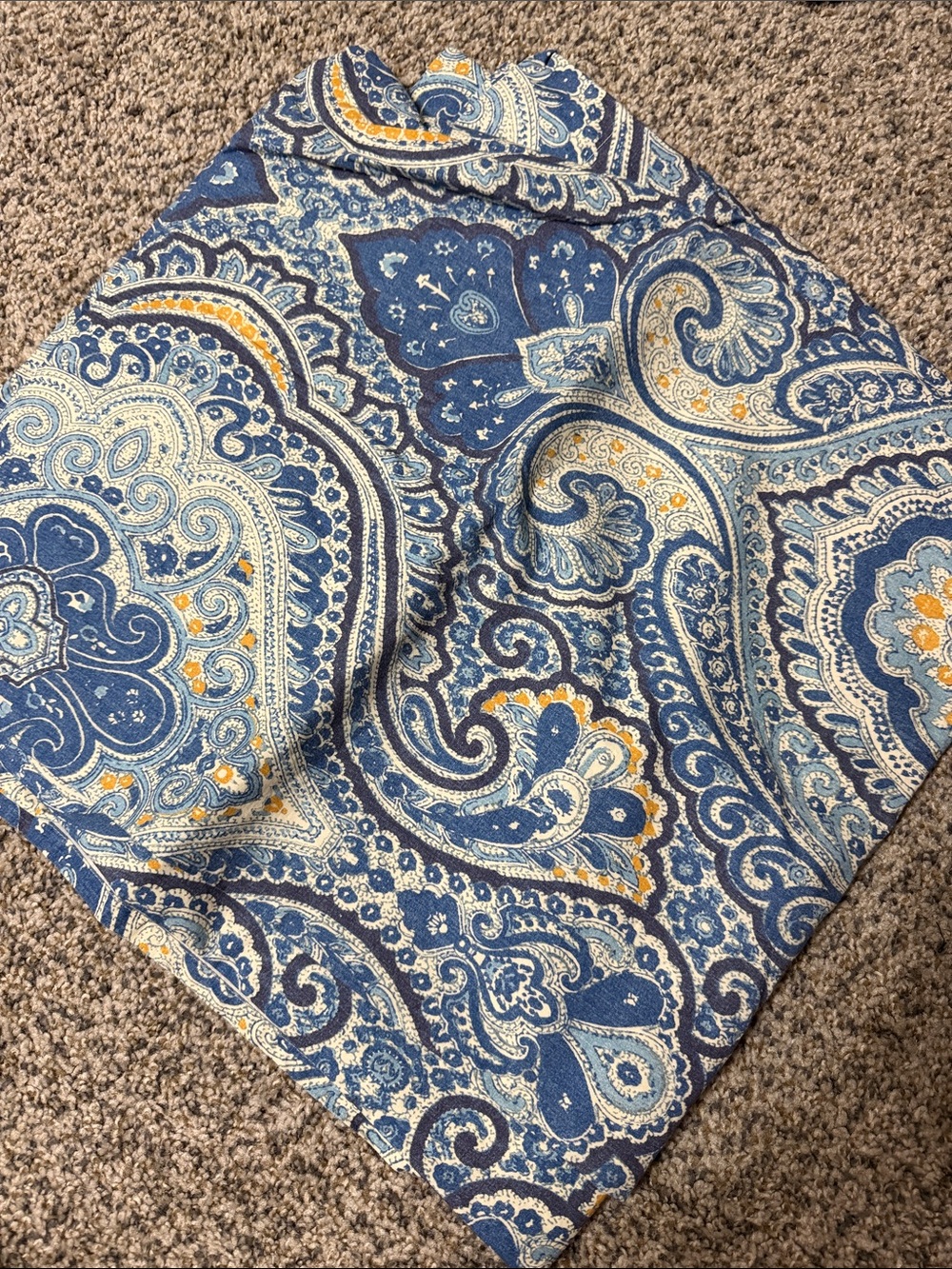 Pottery Barn Paisley Shower Curtain